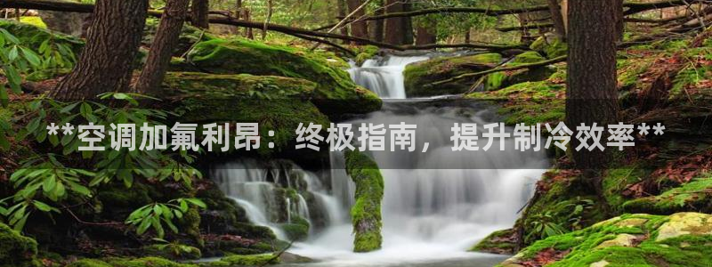 环球360最新官方登入网址