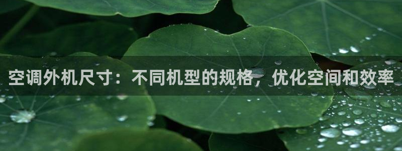 环球360手机版官方网站下载