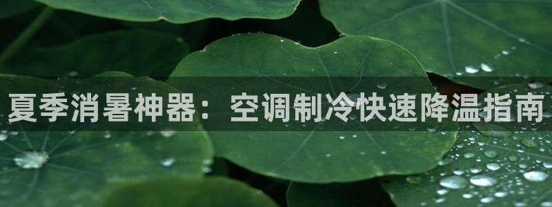 环球360mt369:CC