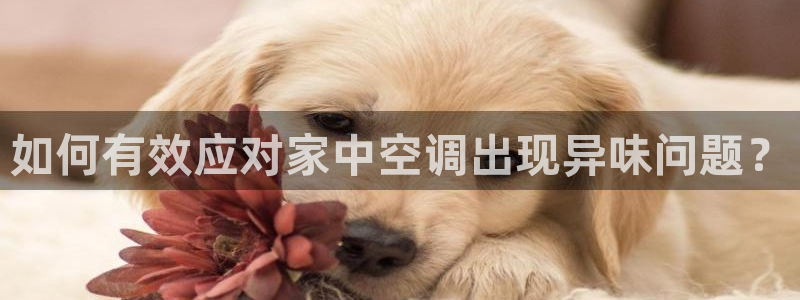 环球360代理