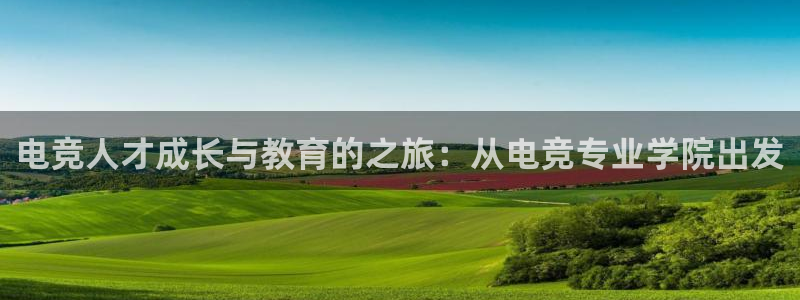 db电竞官网app：电竞人才成长与教育的之旅：从电竞专业学院出发