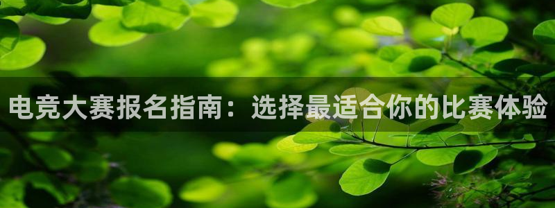 db电竞是什么软件：电竞大赛报名指南：选择最适合你的比赛体验